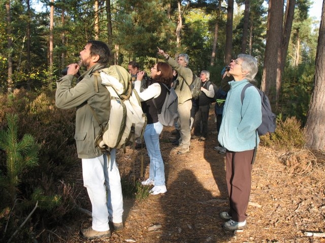 2007 10 Bois de Rochefort 05